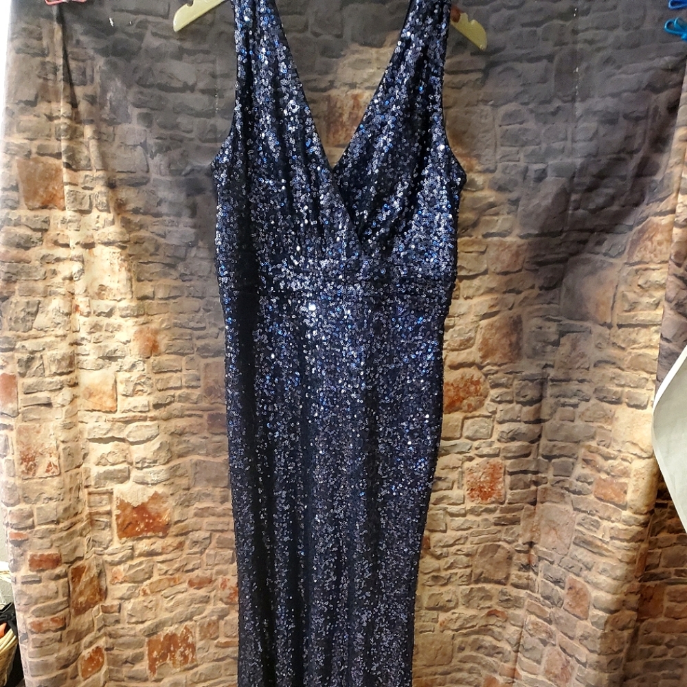 Belle Basdgley Mischka Deep Blue Sequin Gown